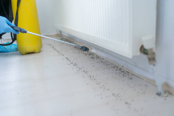 Pest Prevention Services in Logan, WV